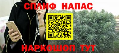 СК Рыбинск