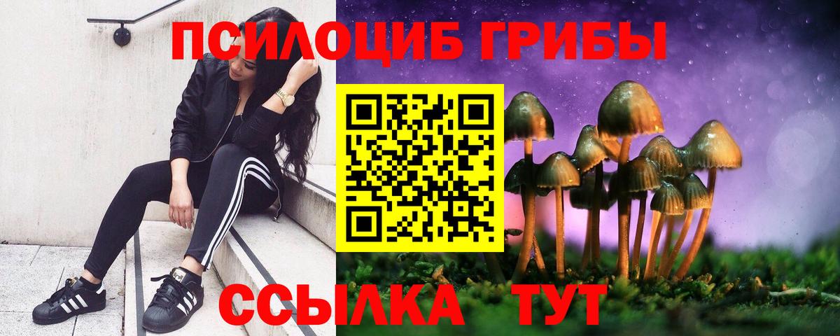 Галлюциногенные грибы Psilocybine cubensis Тавда