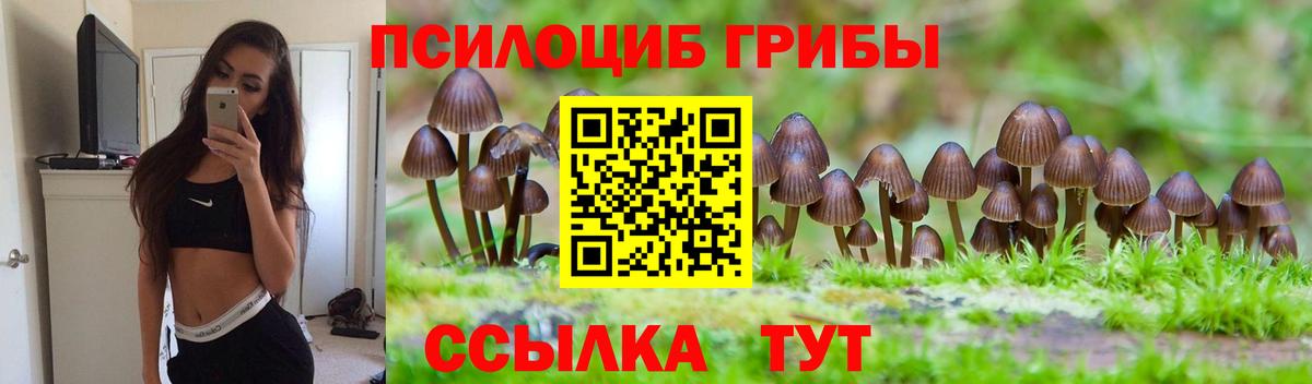 Тавда  Галлюциногенные грибы Psilocybe  Галлюциногенные грибы мицелий  Вход с VPN 